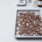 Dried earthworm specifications for ash moisture and cleanliness in B2B quality control
