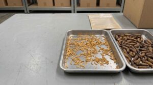 Importing bulk insects with commercial and compliance documents