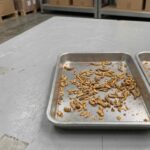 Whole dried insects and broken mealworm fragments compared in inspection trays