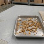 Whole dried mealworms prepared for commercial protein testing and quality inspection